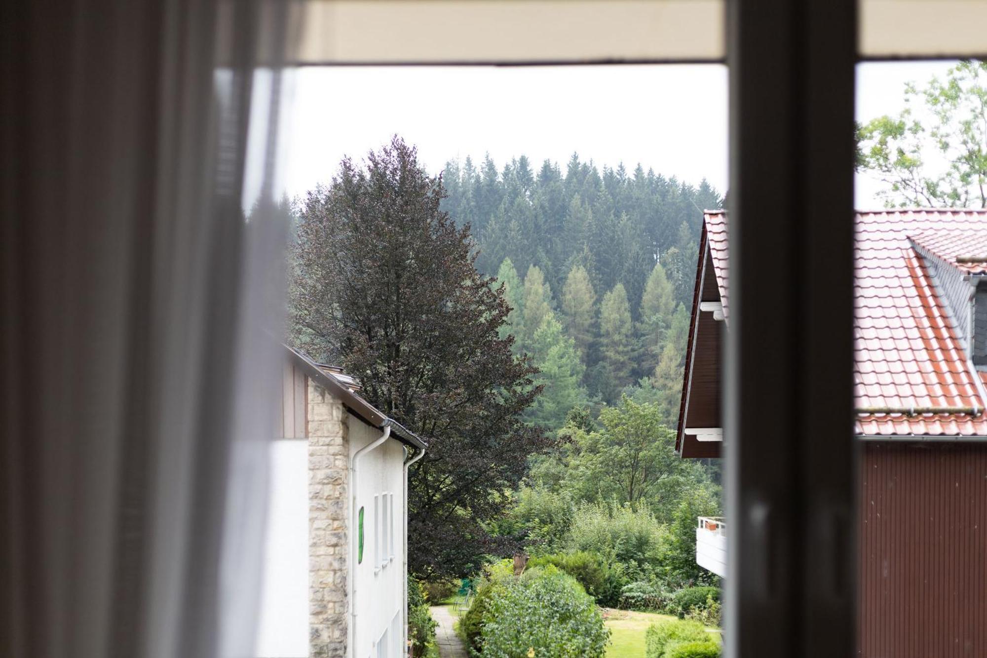 Apartmenthaus Am Waldrand- Kueche - Fruehstueck - Balkon فيلديمان المظهر الخارجي الصورة